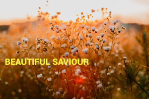 BEAUTIFUL SAVIOUR _ SIS SUMITTA CHEONG