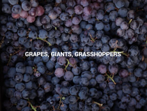 GRAPES, GIANTS, GRASSHOPPERS _ JONATHAN LIEW