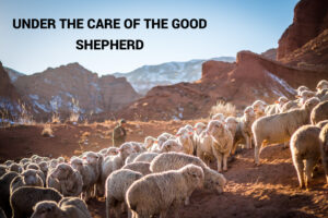 UNDER THE CARE OF THE GOOD SHEPHERD _ PS KHOR